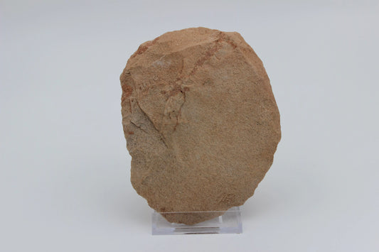 Acheulean Stone Cleaver