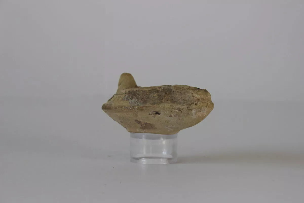 Roman-Byzantine Oil Lamp - Antiqua Gallery