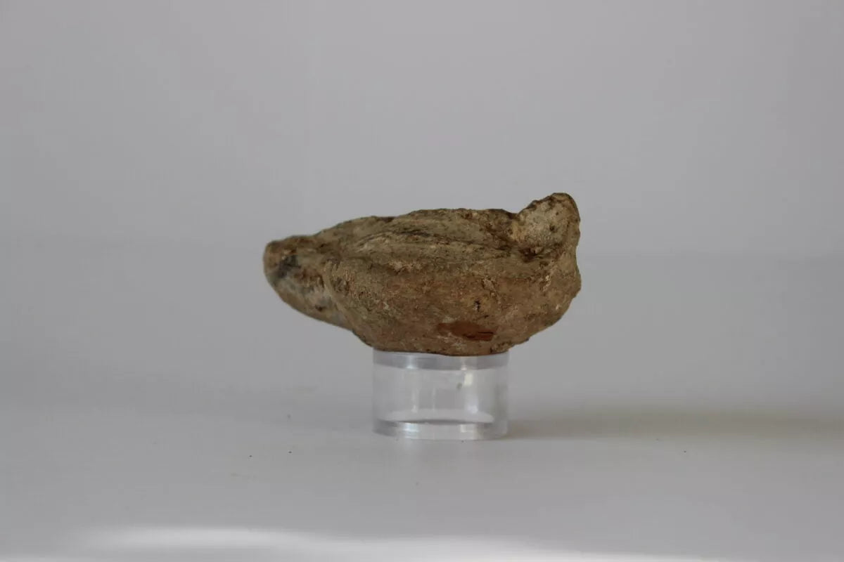 Late Roman Oil Lamp - Antiqua Gallery