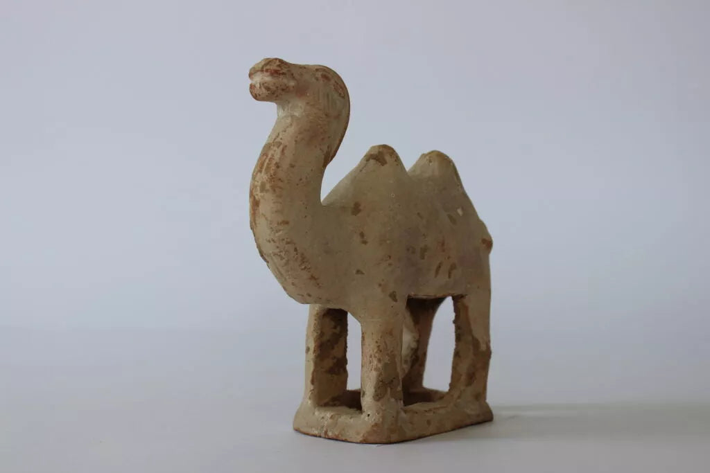 Tang-Dynasty Terracotta Camel - Antiqua Gallery