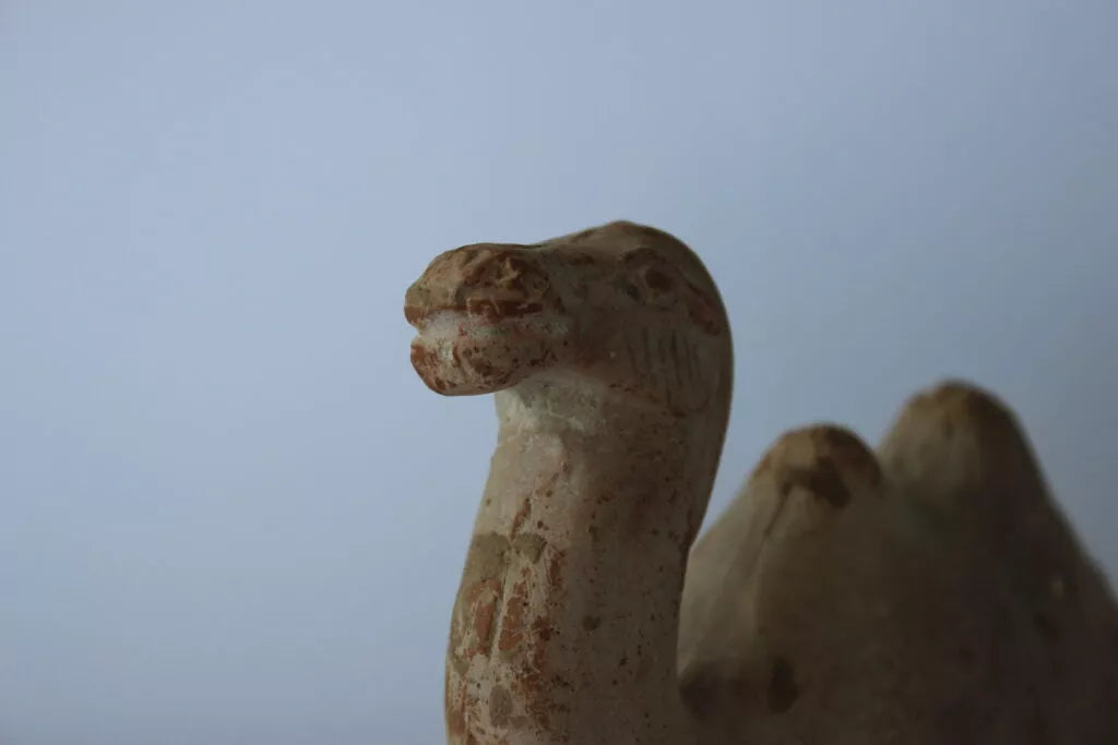 Tang-Dynasty Terracotta Camel - Antiqua Gallery